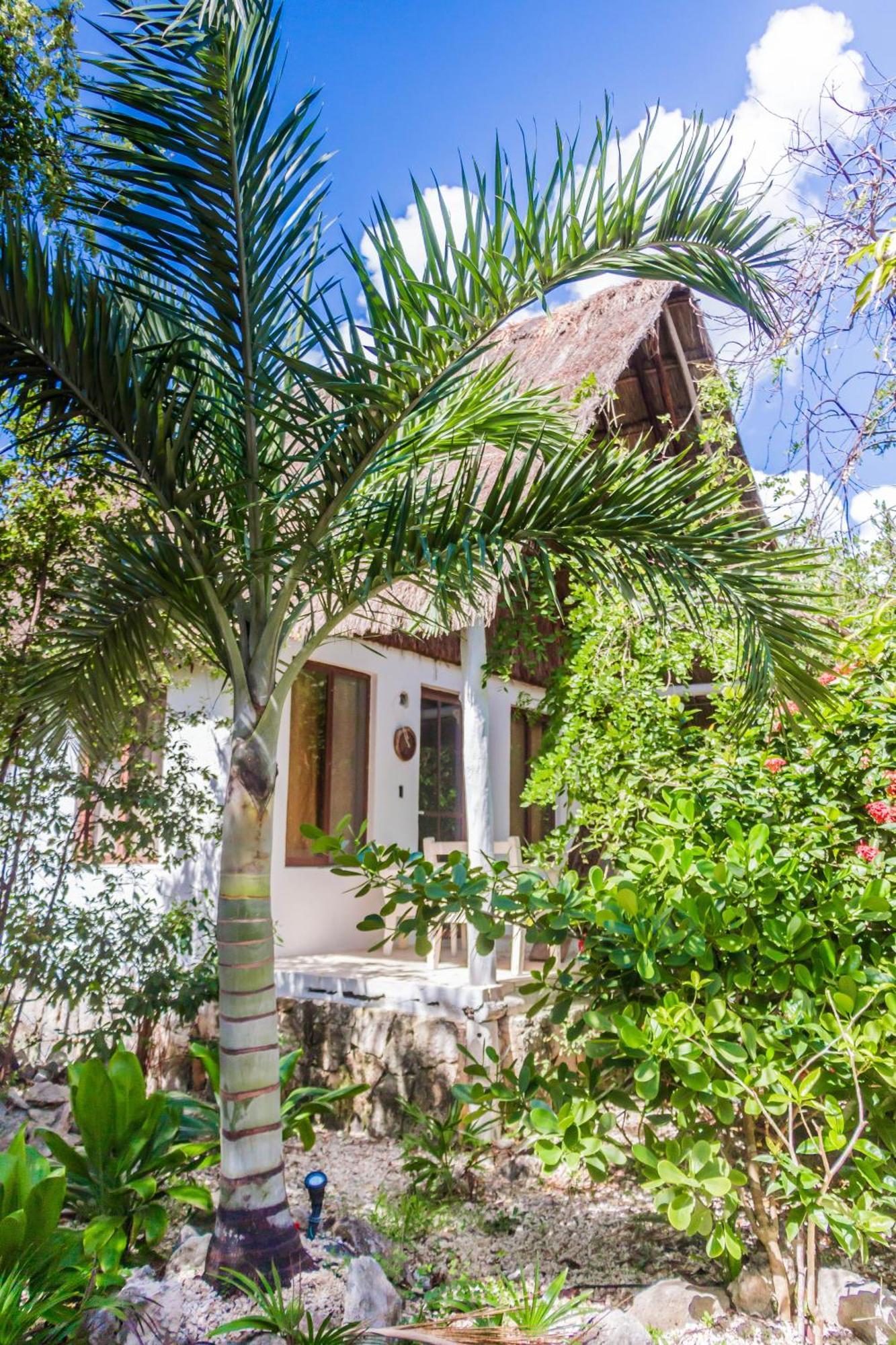 Roc Luxe Tulum Ξενοδοχείο Εξωτερικό φωτογραφία